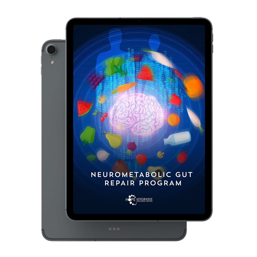NeuroMetabolic-Gut-Repair-Program-Cover-Page-1b
