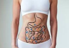 female gut picture